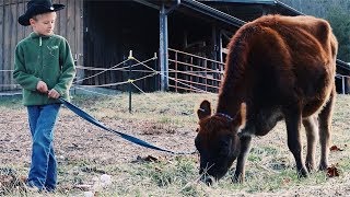 Dreams DO come True ~ AGAIN