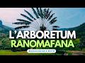Ranomafana National Park Malagasy Dish Arboretum South East Madagascar Motorbike Tour S2E03