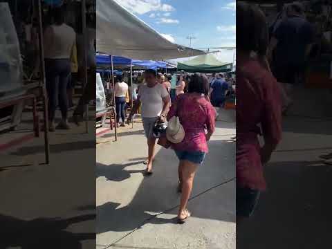 Feira livre Caldas Novas Goiás PARTE 4