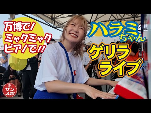 【万博でハラミちゃんライブ!!】大阪・関西万博にストリートピアノが設置され、登場したまさかのサプライズゲストに歓声が上がった。
