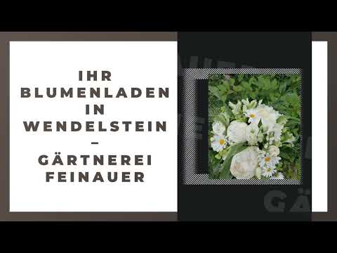 Gärtnerrei Feinauer YouTube-Vdeominiatur 2