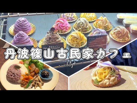 [Café Tamba Sasayama] Día de otoño en el que comimos un hermoso pastel de flores [Sun Rice Kitchen] Vlog | Dulces crudos | Excursión a la prefectura de Hyogo | Almuerzo | Pareja franco-japonesa/Matrimonio internacional
