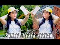 PUTRI WAGISTA PUNTEN MESER SEBLAK OFFICIAL MUSIC VIDEO
