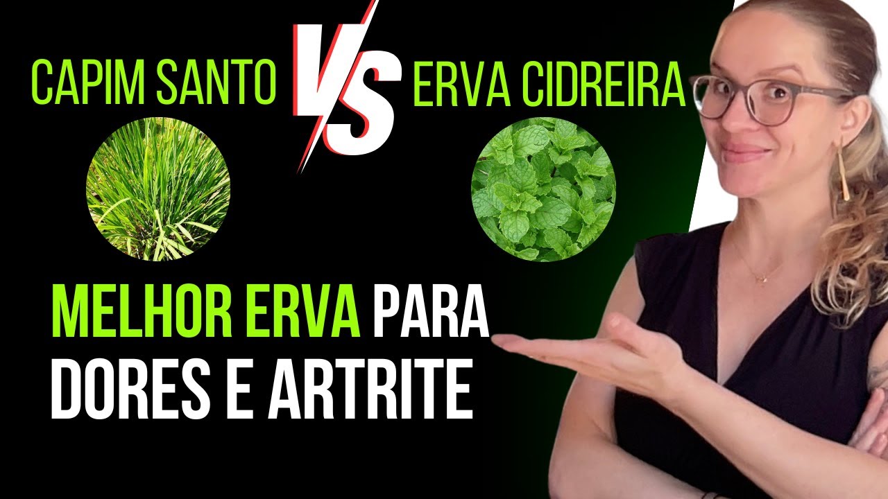 Melhor chá para dor e artrite - Como usar o capim santo ou capim limão