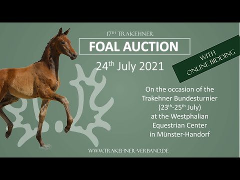 Trakehner Fohlenauktion 2021 - Präsentation am Freitag