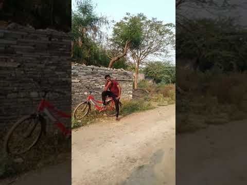 Neeli Rangu Cheeralona || Govindudu Andarivadele video songs || Ram Charan || Stylish Naveen