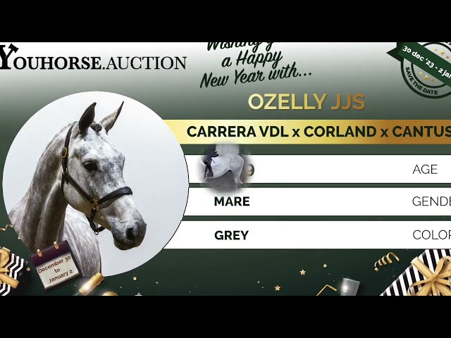 Ozelly under the saddle