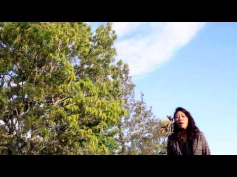 Vanhlupuii | Thuva awmhar [Official Music Video]