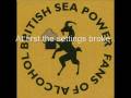 British Sea Power - Like A Honeycomb