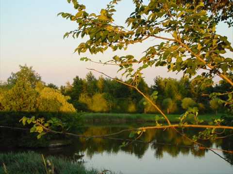 Klaas Jan Mulder - Stilte over alle landen / Ar hyd y nos