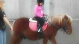 preview picture of video 'Cours d'équitation Noam'