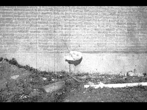 Dust For Ashes by Chief and TheDoomsdayDevice