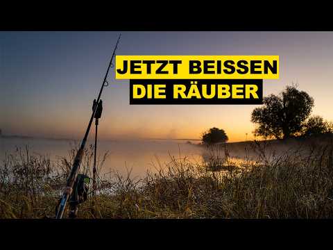 Deadbait angeln auf Hecht und Zander. Günni zu Besuch bei Marco von @dasistangeln 🎣