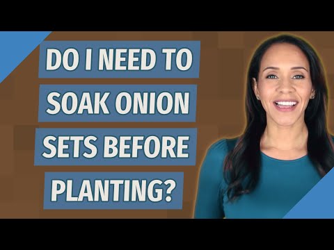 , title : 'Do I need to soak onion sets before planting?'
