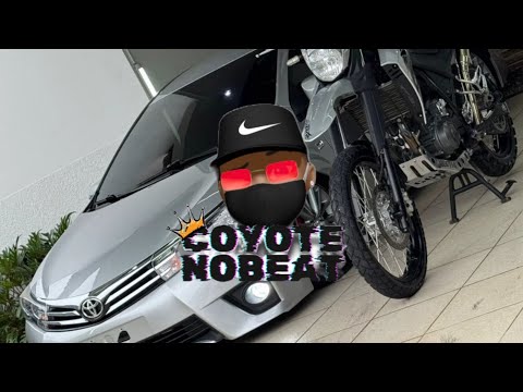 OPEN THE TCHEKA - COYOTE NO BEAT ( Ft DJ LEX NO BEAT ) ARROCHADEIRA REMIX MUSICA NOVA PRA PAREDÃO 