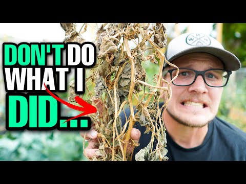 Top 9 Gardening Mistakes YOU Want To AVOID! (And How To Fix Them)