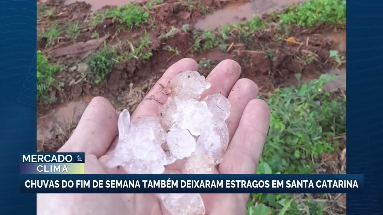 Chuvas provocam estragos e deixam municípios em situação de emergência no Sul