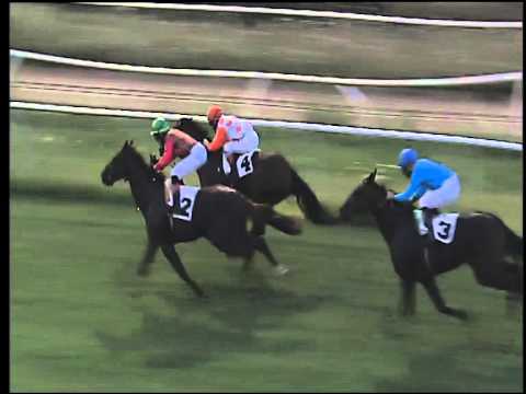 Galoppo 22/07/2015 - 4° corsa