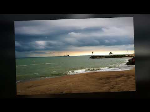 Nayda Feat Mohammad Bibak - Tanham