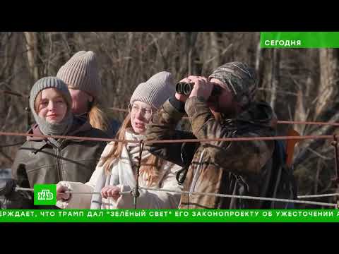 «Сегодня»  8 января 2026 года  08 00   Выпуск новостей   Новости НТВ   смотреть видео онлайн от «НТВ