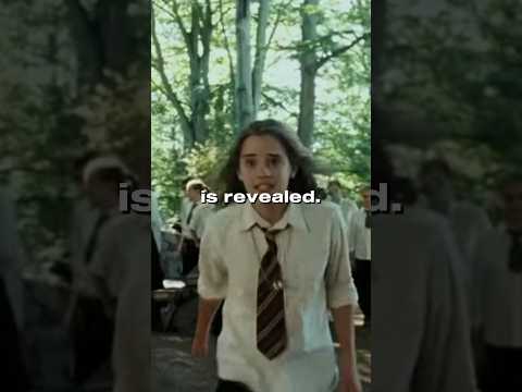 Did You Notice THIS About Hermione In Harry Potter?