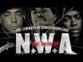 NWA feat Snoop Dogg - Chin Check 