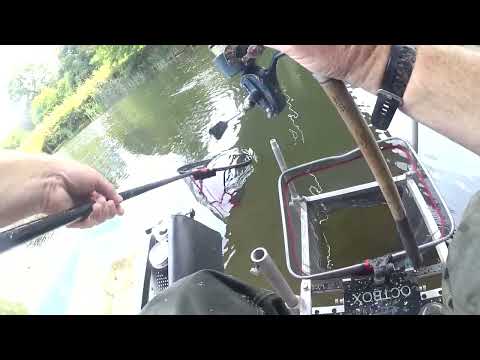 The Bristol Avon tidal stretch at Hanham on the Monarchs Way.
