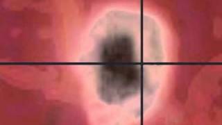 Peter Gabriel - Family Snapshot