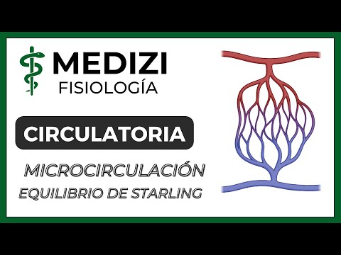 Class 24 Circulatory Physiology-Capillary Starling BalanceMicrocirculation (IG:@doctor.paiva)