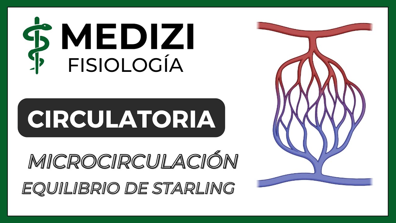 Clase 24 Fisiología Circulatoria-Equilibrio de Starling capilarMicrocirculación (IG:@doctor.paiva)