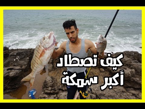 اصطياد اكبر سمكة بدون طعم Pêche au maroc | تقنيات الصيد بالقصبة 2017