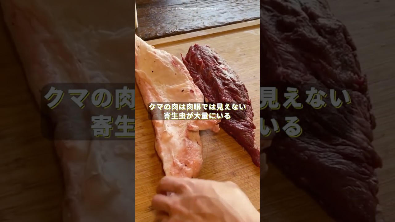 【肉に潜む寄生虫】#shorts #雑学 #tiktok教室 #閲覧注意 #衝撃映像 #衝撃 #トリビア #viralvideo #viral