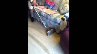 preview picture of video 'Carpet cleaning in Fishkill NY by Royalty Carpet'