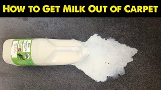 How to Remove Milk From Carpet