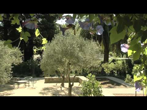 image-What are Mediterranean gardens?
