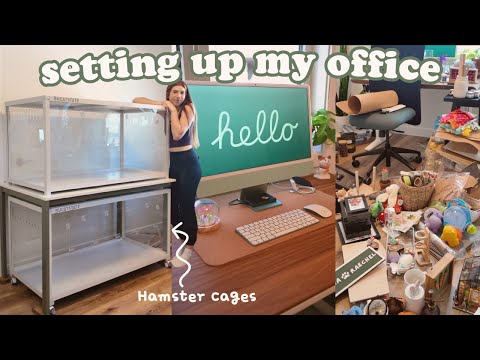 My NEW Hamster Room & Office! 🐹✏️