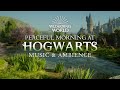 Harry Potter ️ Hogwarts Peaceful Music Ambience On A Beautiful Morning With Cyber Worlds