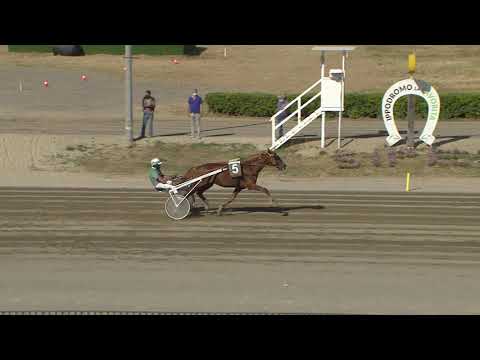 VII Corsa-Tris-Quartè-Quintè-Premio Isole-29 maggio 2021