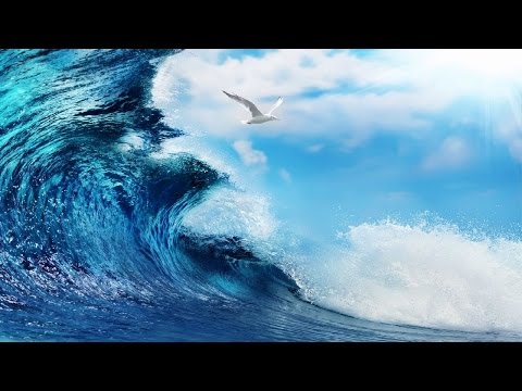 download lagu mp3 mp4 Mallory Plotnik, download lagu Mallory Plotnik gratis, unduh video klip Mallory Plotnik