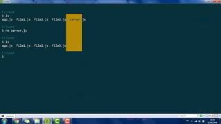 Command Line RM File