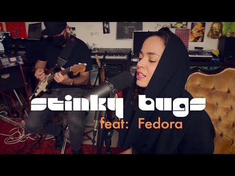 Csillag vagy fecske | Kispál és a Borz | funk verzió | ft.: MC Fedora