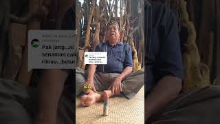 Download lagu SENAMAN CAKAR RIMAU mp3 Download lagu SENAMAN CAKAR RIMAU mp3