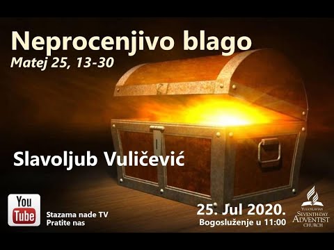 Neprocenjivo blago --  Slavoljub Vulicevic