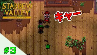 【スターデューバレー】 #3 ほぼ寝て終わる日々