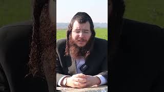 בעצם מה שאנחנו מחפשים הוא משמעות ומקום...  וקשר ליוצר בראשית... ושאר הדברים זה רק כיסוי והסחת דעת...
