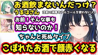 命に関わるレベルでお酒が飲めない一ノ瀬うるは、アイスに虫が混入してても店員に教えた後そのまま食べたと語る一ノ瀬うるは【 OTBN/apex/橘ひなの/八雲べに/ぶいすぽっ！/切り抜き】