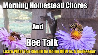 Morning Homestead Chores and Bee Talk (Learn What Steps You Should Be Taking As a Beekeeper)