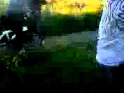 PELEA CALLEJERA  EN SAN CARLOS