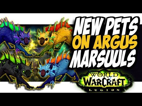 NEW PETS ON ARGUS Marsuuls!! Common to Rare hunter pets On The Hunt WoW Legion patch 7 3
