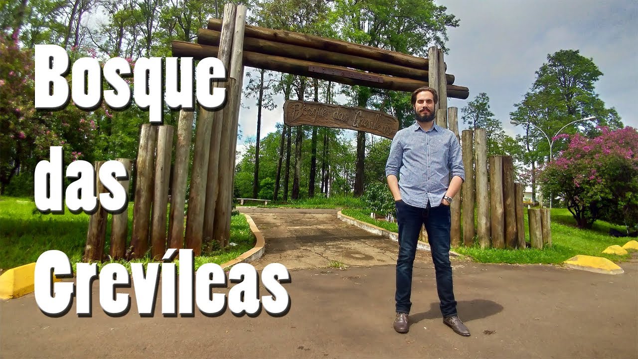 Bosque das Grevíleas